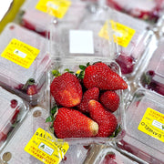 All Fruit at UMall Australia