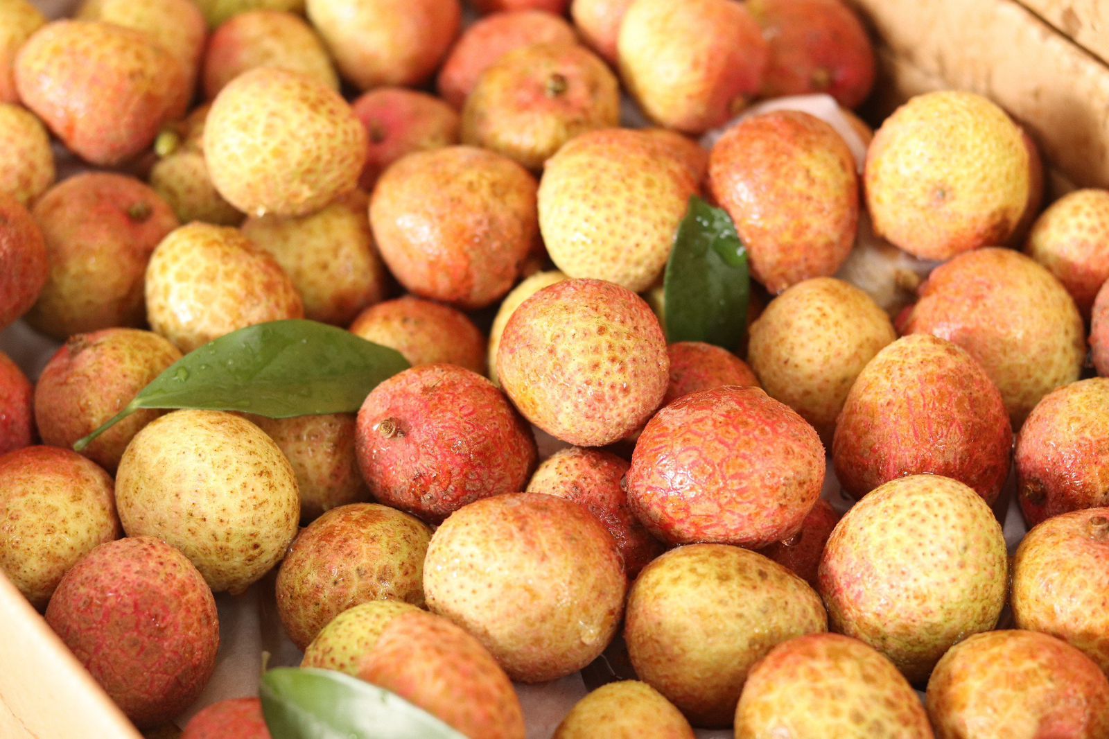 Imported-Sticky-Rice-Lychee---1kg-1