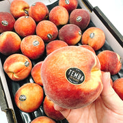 All Fruit at UMall Australia