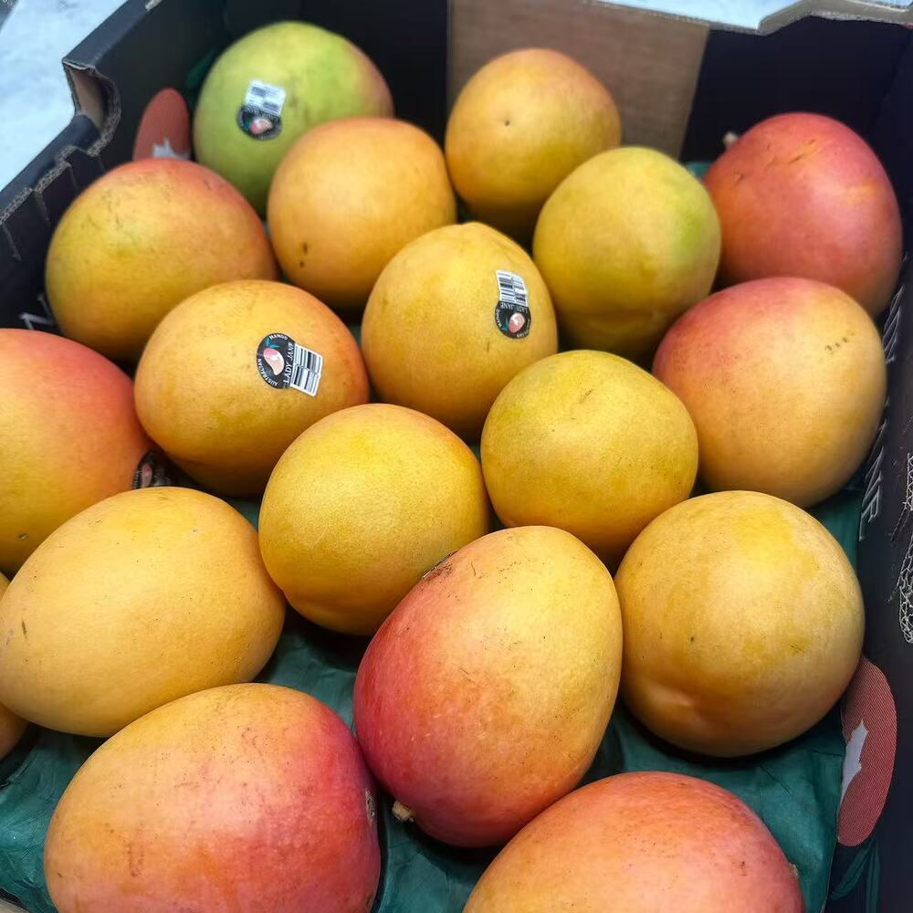 australian-lady-jane-mangoes-size-18-whole-case-18-count-tray-1