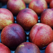Apples & Pears & Peach at UMall Australia