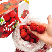 Tất cả trái cây at UMall Australia