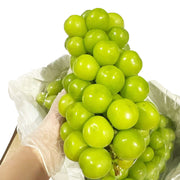 Hộp quà tặng at UMall Australia