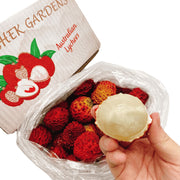 All Fruit at UMall Australia