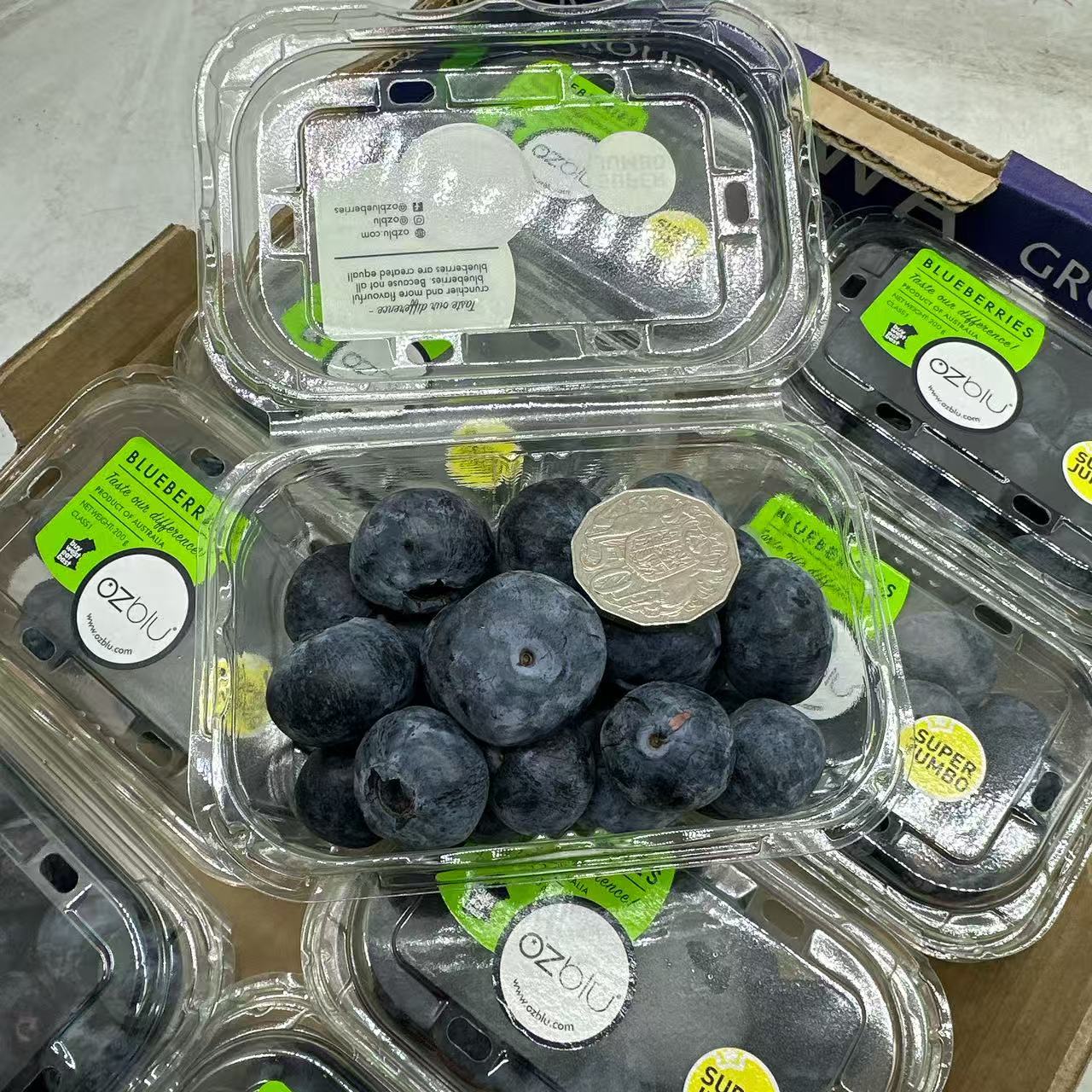 australian-super-jumbo-blueberries-box-of-8-punnets-3