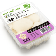 Best Sellers at UMall Australia