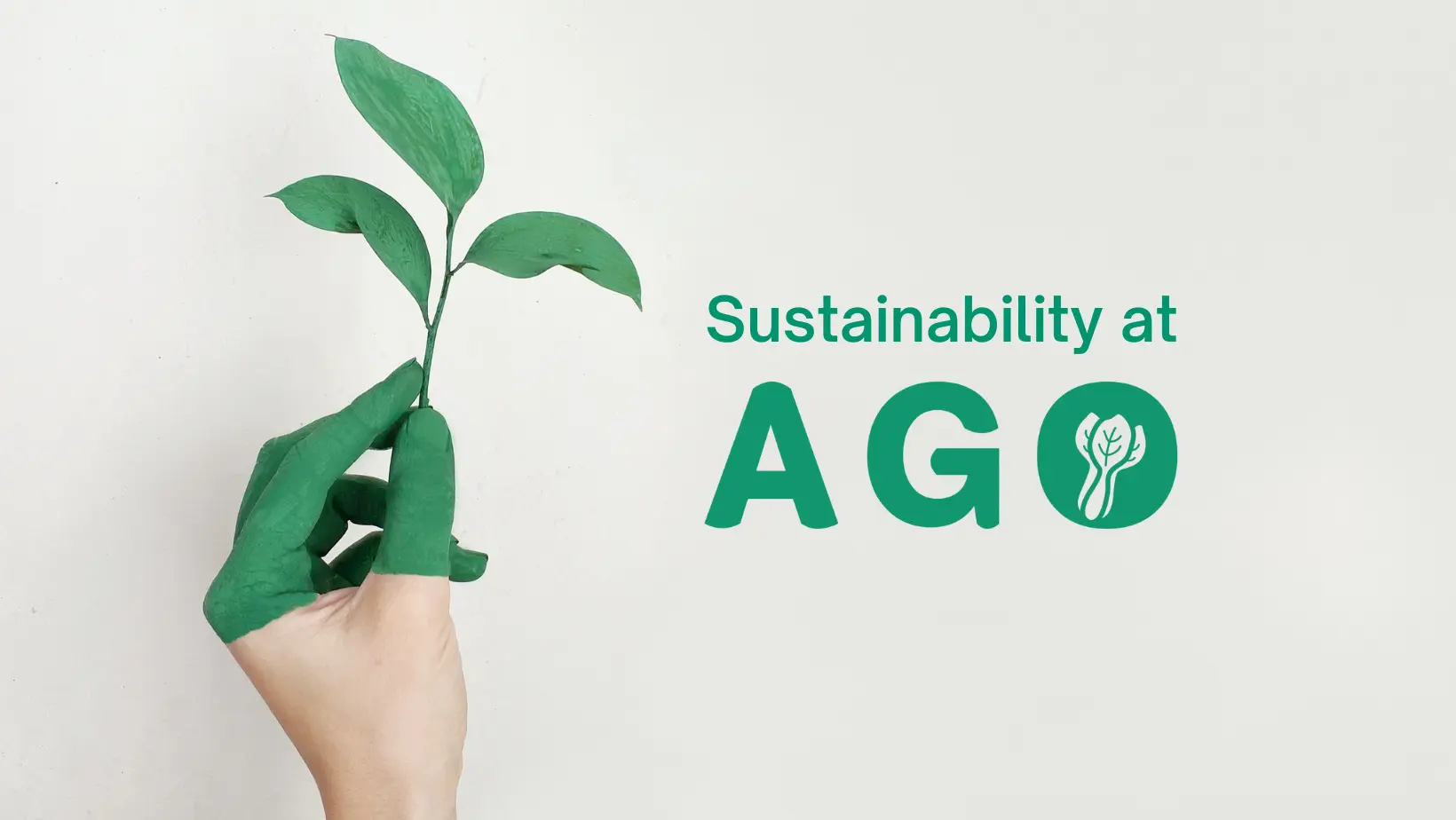 Sustainability at AGO