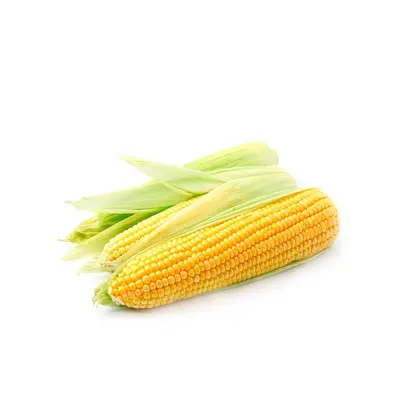 Corn Pack