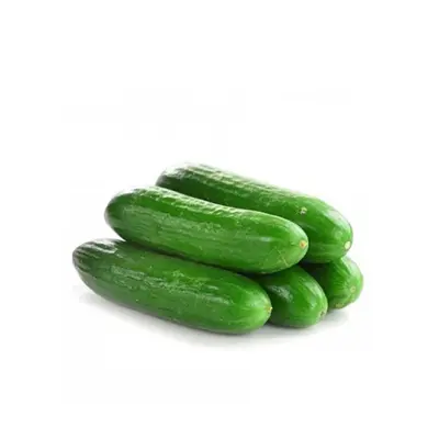 Cucumber Lebanese Box