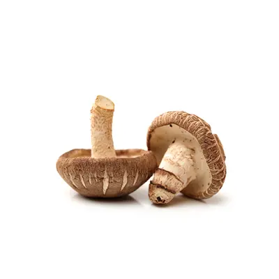 Mushroom Shiitake 100g